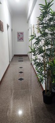 Balestier Plaza (D12), Apartment #501123381